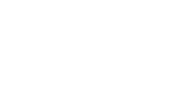 Logo dlm