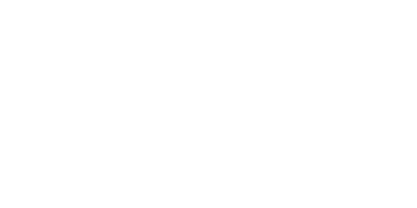 logo domo