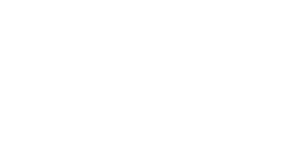 logo ecm